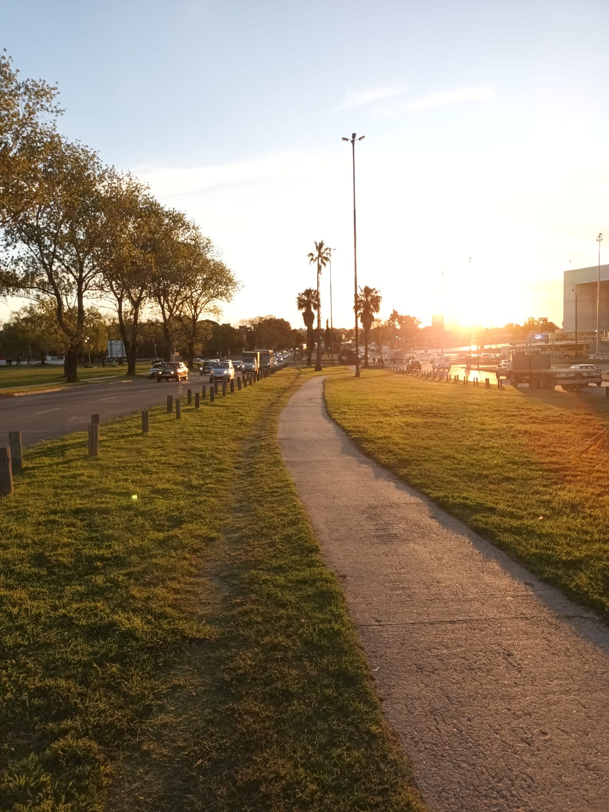 Caminata antel arena